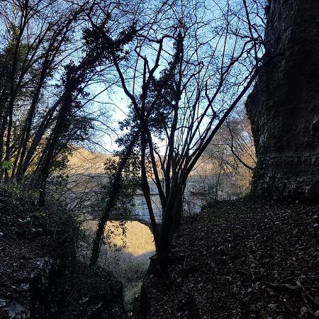 카스티리오네델레스티비에레 La Cascina Di Alice B&B 외부 사진