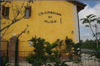 카스티리오네델레스티비에레 La Cascina Di Alice B&B 외부 사진