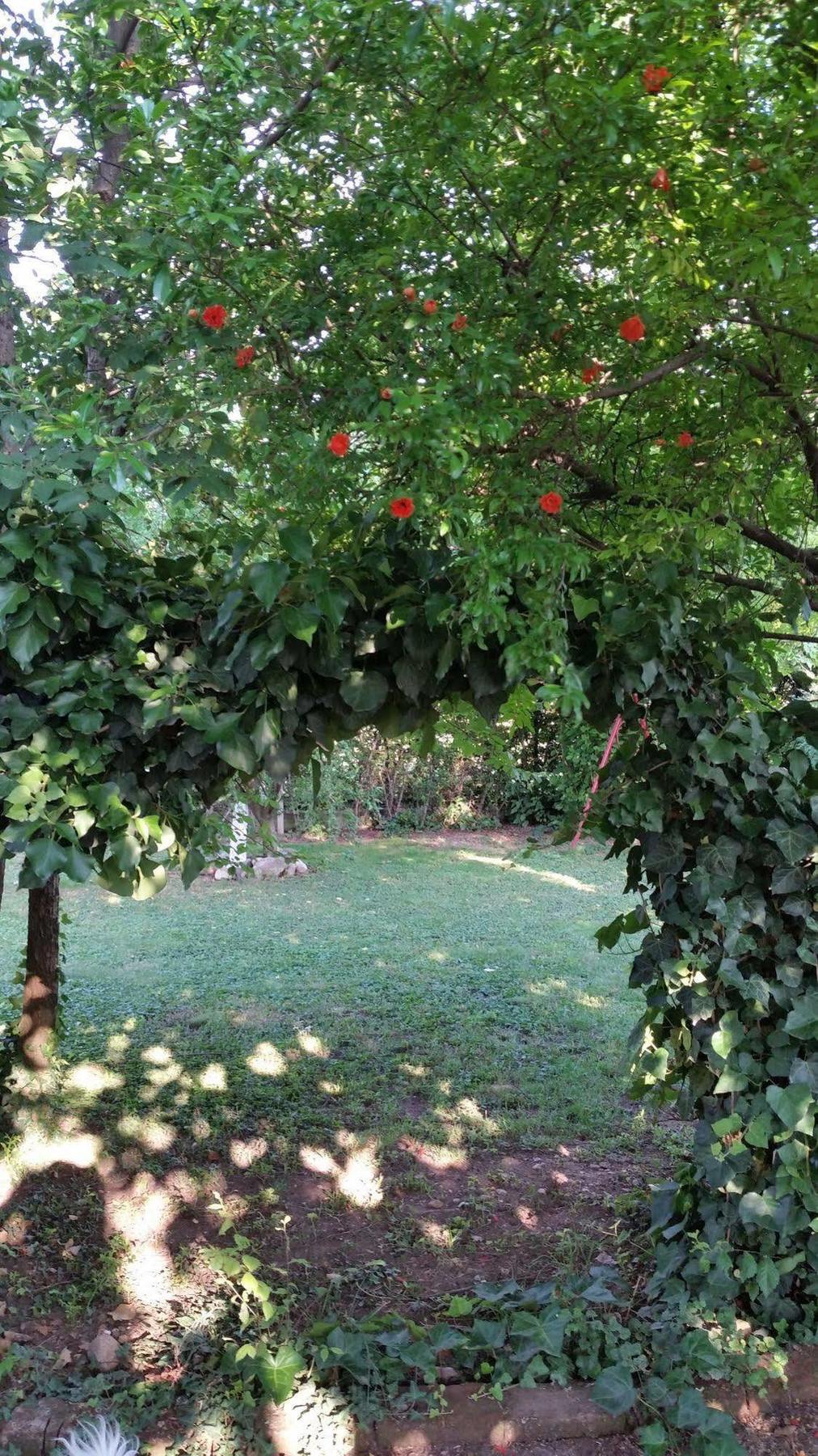 카스티리오네델레스티비에레 La Cascina Di Alice B&B 외부 사진